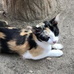 Photo taken by Shaula L