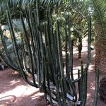 Photo taken by Susan D