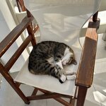 Photo taken by Darcy G