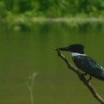 Photo taken by Brett F