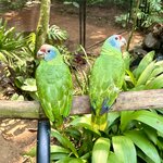 Photo taken by Kaitlyn O