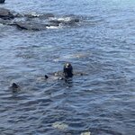 Photo taken by Heather E