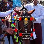 Photo taken by Michelle R