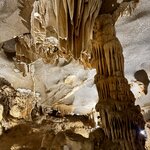 Photo taken by Mylan L