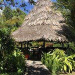 Photo taken by Anna A