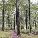 Photo taken by Eric T