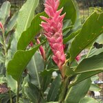 Photo taken by Harshida P