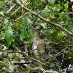 Photo taken by Steven M