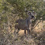 Photo taken by Tom B