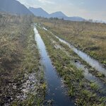 Photo taken by Kim M