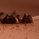 Photo taken by Leah H