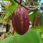 Photo taken by Brett F