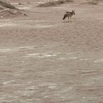 Photo taken by Nigel R