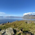 Photo taken by Yumi A