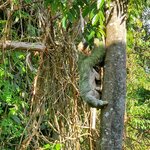 Photo taken by Garritt V