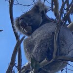 Photo taken by Dan J