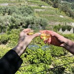 Photo taken by Christopher Paul T