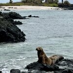 Photo taken by Cathy V