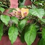 Photo taken by Tenley G