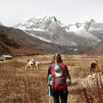 Photo taken by Tyler W