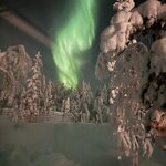 Photo taken by Ellyn V