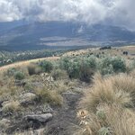 Photo taken by Priya R