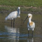 Photo taken by Graham D