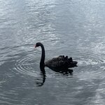 Photo taken by Lori V