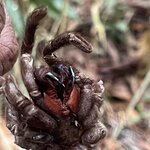 Photo taken by Tony F