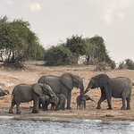 Photo taken by Janie W