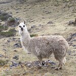 Photo taken by martin M