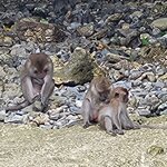 Photo taken by Chinwe O