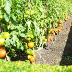 Photo taken by Eric T