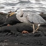 Photo taken by mindy n