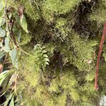 Photo taken by Ben B