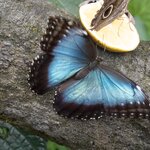 Photo taken by Wilbert A