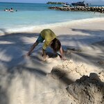 Photo taken by Nicole G