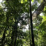 Photo taken by Lauren A