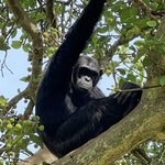 Photo taken by Michael L