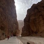 Photo taken by SARMA M