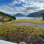 Photo taken by Sullivan S