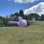 Photo taken by Wendell C