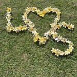 Photo taken by wendi r