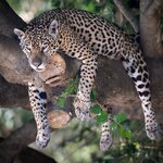 Photo taken by Matt W