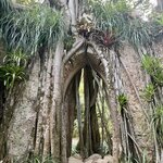 Photo taken by Karen C