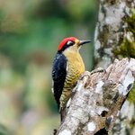 Photo taken by Brett F