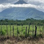 Photo taken by Jane K