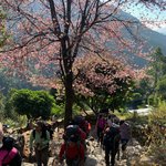 Photo taken by Peter M