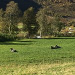 Photo taken by Sharon S