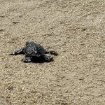 Photo taken by Margy C